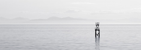 cc攻击免费网页版