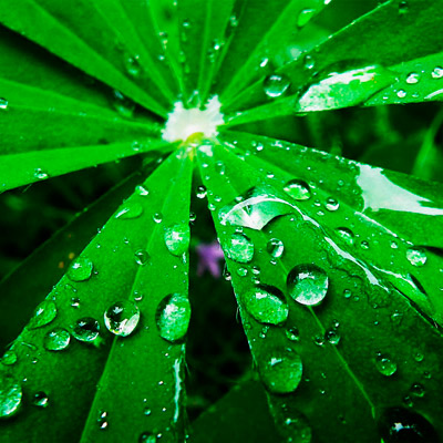 资源调度的ddos在线网页端