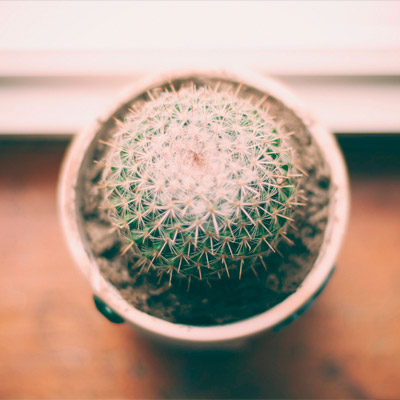 免费cc攻击测试